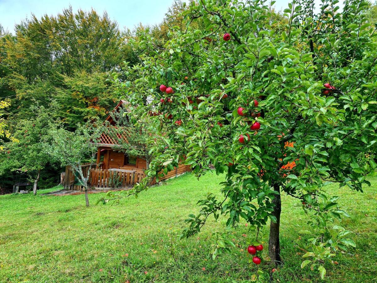 Трембіта Rahău Exterior foto